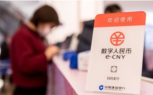 哔哩哔哩专栏